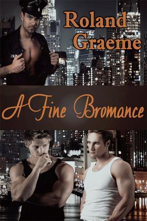 Cover of the book A Fine Bromance by A.C. Ellas