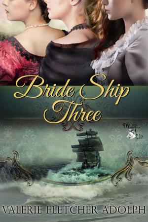 Cover of the book Bride Ship Three by Joan C. Curtis