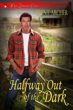 Cover of the book Halfway Out of the Dark by Mel Favreaux