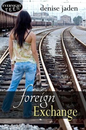 Cover of the book Foreign Exchange by Bridie Blake