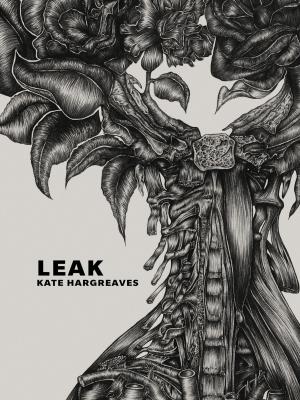 Cover of the book Leak by Marianne Apostolides