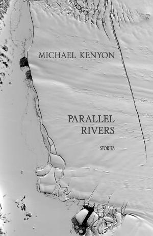 Book cover of Parallel Rivers