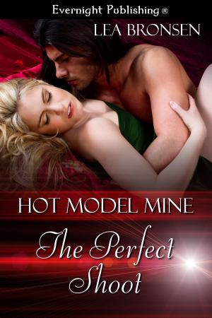 Cover of the book The Perfect Shoot by Megan Morgan