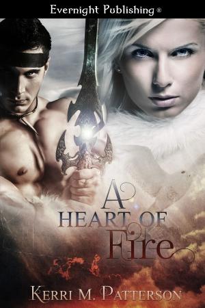 Cover of the book A Heart of Fire by Michelle Roth