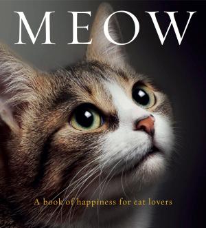 bigCover of the book Meow by 