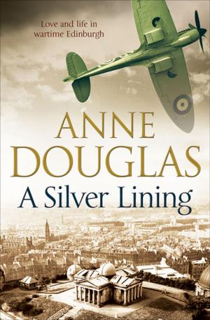 Cover of the book A Silver Lining by Diane Fanning