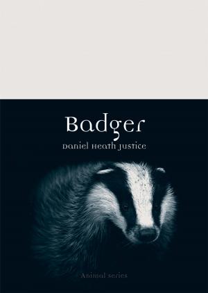 Book cover of Badger
