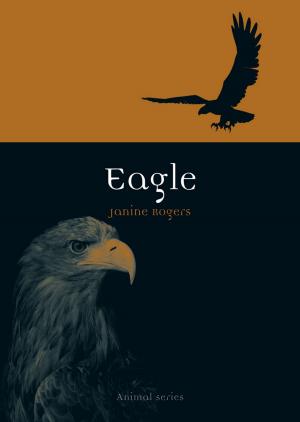 Cover of the book Eagle by Michelle Phillipov