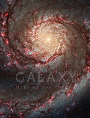 Cover of the book Galaxy by Bran Nicol