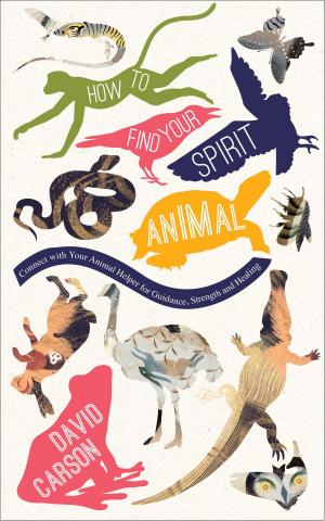 Cover of the book How to Find Your Spirit Animal by June Redfearne