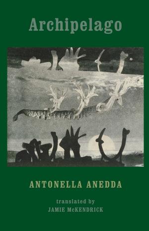 Cover of the book Archipelago by Fleur Adcock, OBE