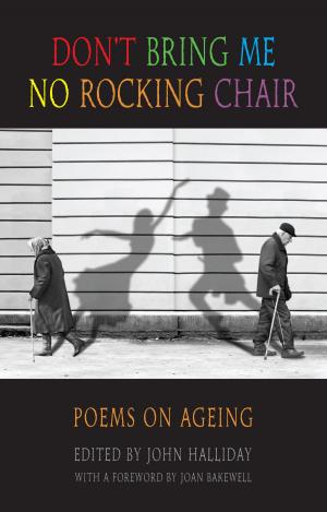 Cover of the book Don't Bring Me No Rocking Chair by Luljeta Lleshanaku