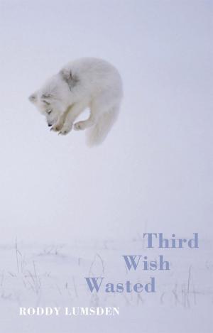 Book cover of Third Wish Wasted