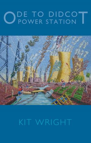 Cover of the book Ode to Didcot Power Station by Mark Waldron