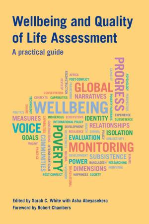 Cover of the book Wellbeing and Quality of Life Assessment by Practical Action