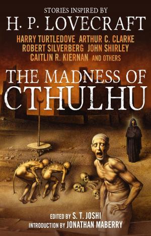 Cover of the book The Madness of Cthulhu Anthology (Volume One) by Jack Vivace