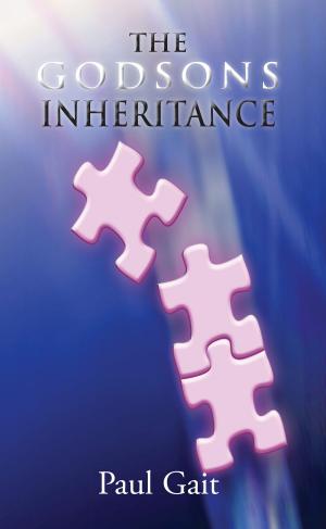 Book cover of The Godsons Inheritance