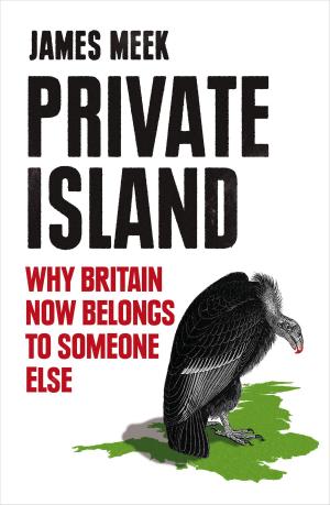 Cover of the book Private Island by Patrick Cockburn