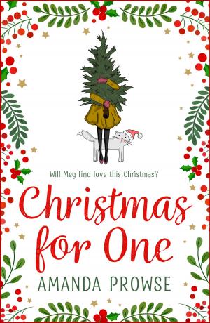Cover of the book Christmas for One by Leah Fleming