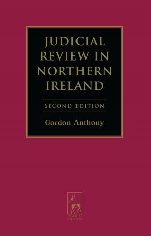 Cover of the book Judicial Review in Northern Ireland by Andy Croft