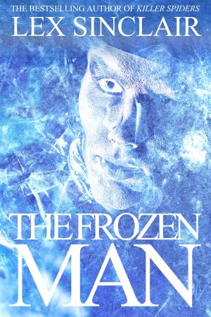 Cover of the book The Frozen Man by Dave Harrold