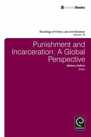 Cover of the book Punishment and Incarceration by Ron Sanchez, Aimé Heene