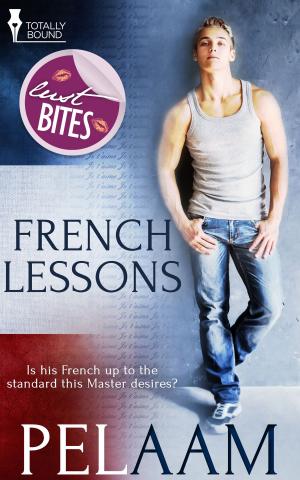 Cover of the book French Lessons by Raven McAllan