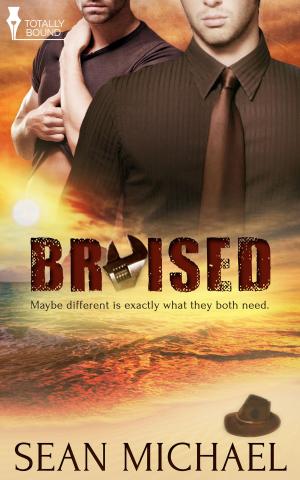 Cover of the book Bruised by R.A. Padmos