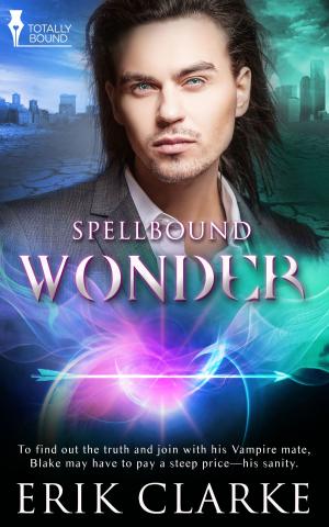 Cover of the book Wonder by Aliyah Burke