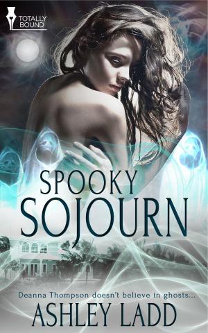 Cover of the book Spooky Sojourn by Brigham Vaughn