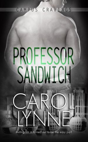 Book cover of Professor Sandwich