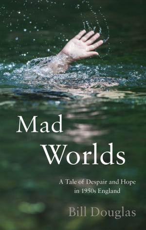 Cover of the book Mad Worlds by Kim Andrew Lincoln