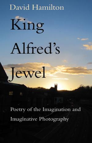 Book cover of King Alfred's Jewel