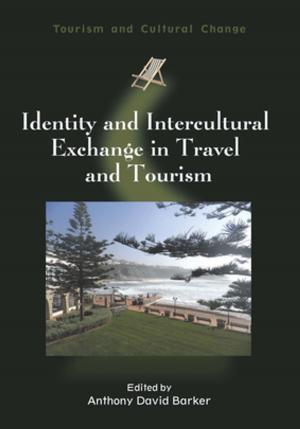 Cover of the book Identity and Intercultural Exchange in Travel and Tourism by Prof. David Singleton, Lisa Ryan