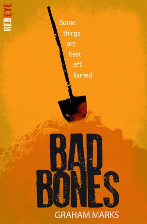 Cover of the book Bad Bones by Barry Hutchison