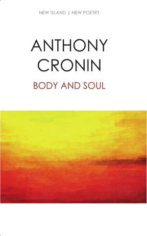 Cover of the book Body and Soul by Bobby Aherne