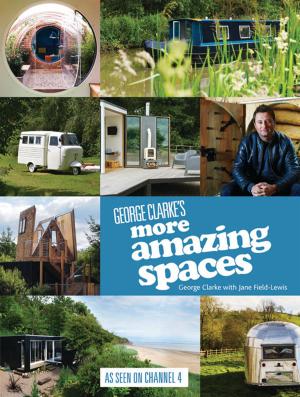 Cover of the book George Clarke's More Amazing Spaces by Babs Behan