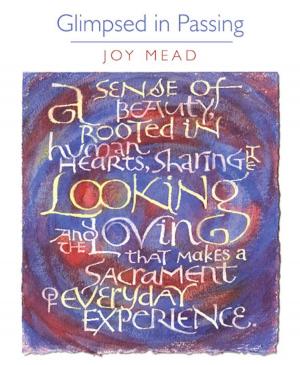 Cover of the book Glimpsed in Passing by Mike Jones
