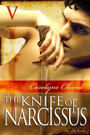 Cover of the book The Knife of Narcissus Part 5 by Sol Crafter