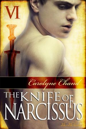 Cover of the book The Knife of Narcissus Part 6 by Edward Aronoff