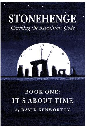 bigCover of the book Stonehenge - Cracking the Megalithic Code by 