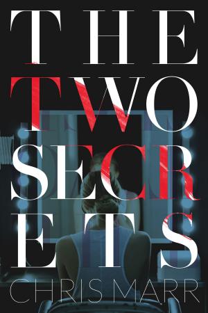 Cover of the book The Two Secrets by Robert Breeze