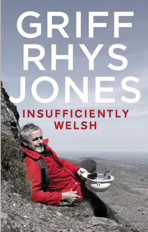 Book cover of Insufficiently Welsh