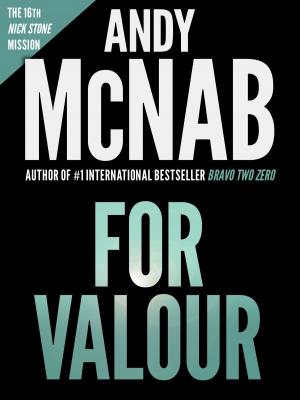 Cover of the book For Valour: Andy McNab's best-selling series of Nick Stone thrillers - now available in the US by TL Spencer