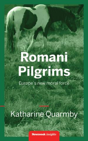 Book cover of Romani Pilgrims