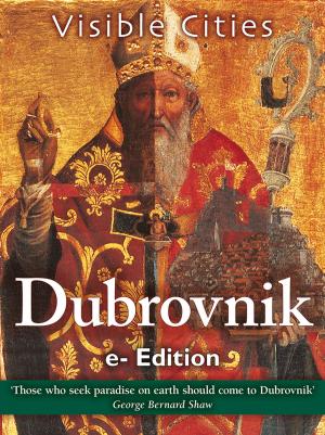 Book cover of Visible Cities Dubrovnik