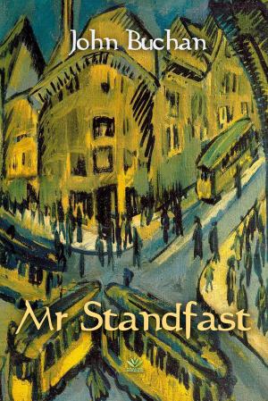 Cover of the book Mr Standfast by Allan Pinkerton