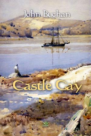 Book cover of Castle Gay