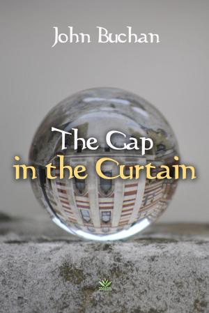Book cover of The Gap in the Curtain