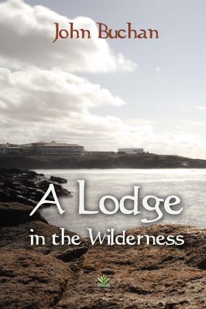 Cover of the book A Lodge in the Wilderness by Russell Conwell
